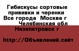 Гибискусы сортовые, прививки и черенки - Все города, Москва г.  »    . Челябинская обл.,Нязепетровск г.